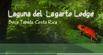 Birding Costa Rica at Laguna del Lagarto Lodge