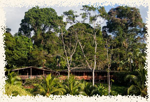 Costa Rica birding paradise: Laguna del Lagarto Lodge