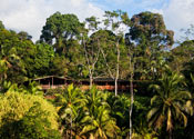 Costa Rica selva tropical, albergue Laguna del Lagarto