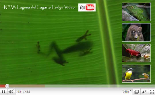 Laguna del Lagarto Lodge Video on Youtube